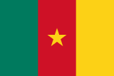 Flag of Cameroon